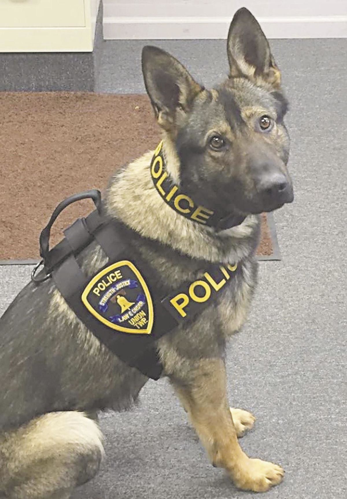 police dog od